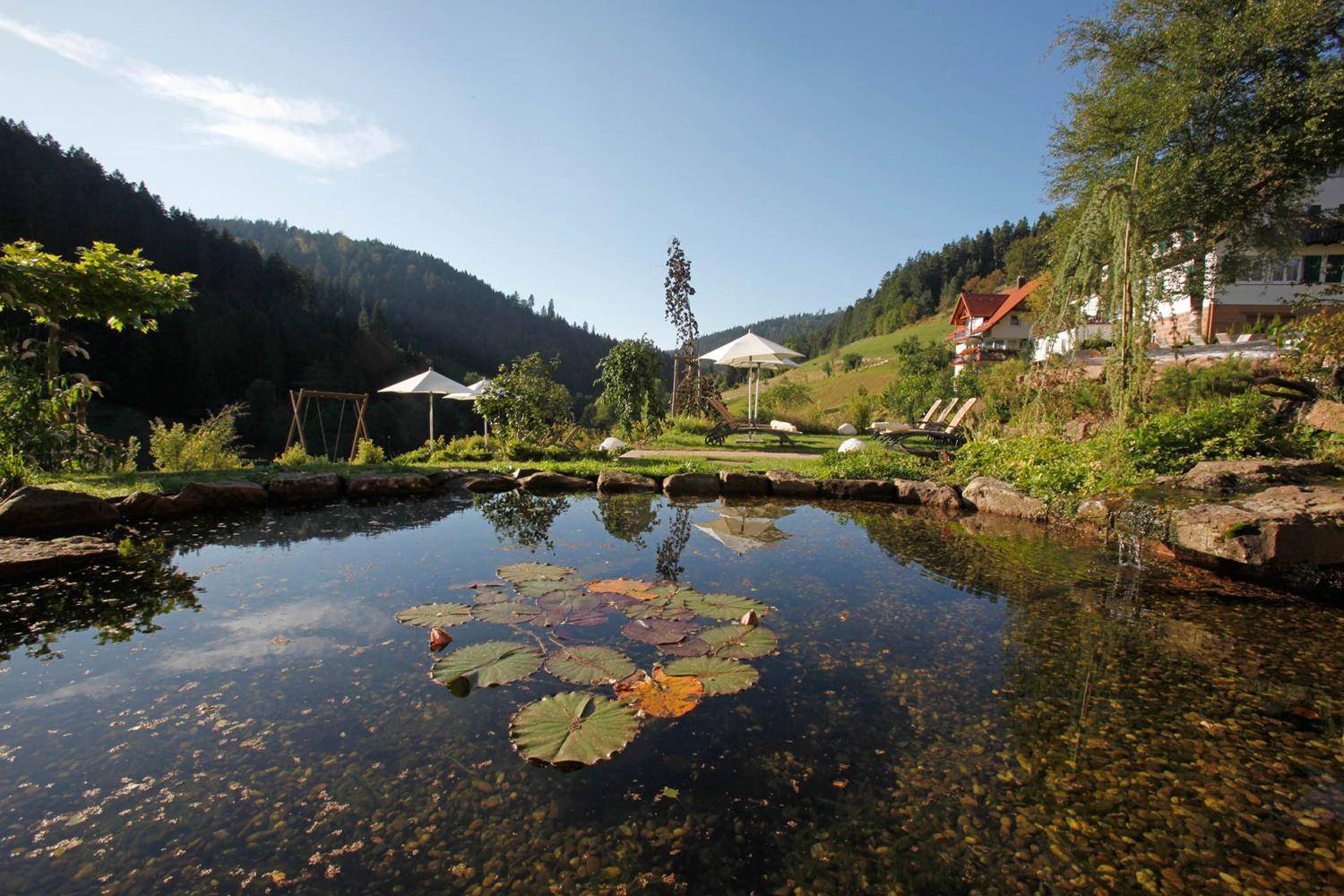 garten_full Schwarzwald Wellnesshotel Tanne Tonbach